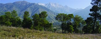 Property Grounds, Club Mahindra Dharamshala, Kangra